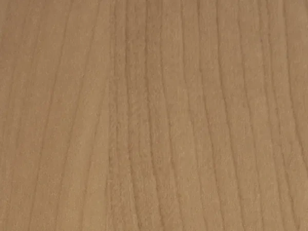 birke rose 4363031