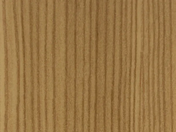 bergkiefer 3069041