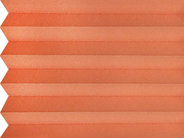 BO 11242 - Coral