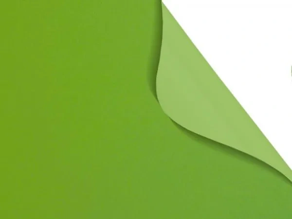 Carina BO 7937 - verde
