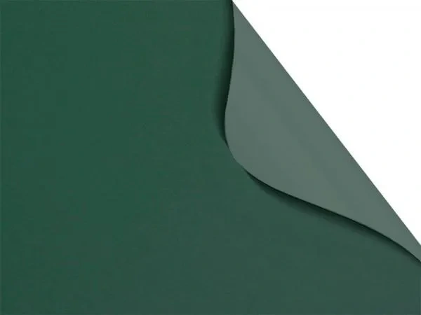 Carina BO 7939 - verde închis