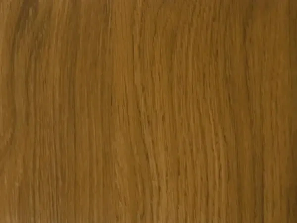 50 - Winchester XA