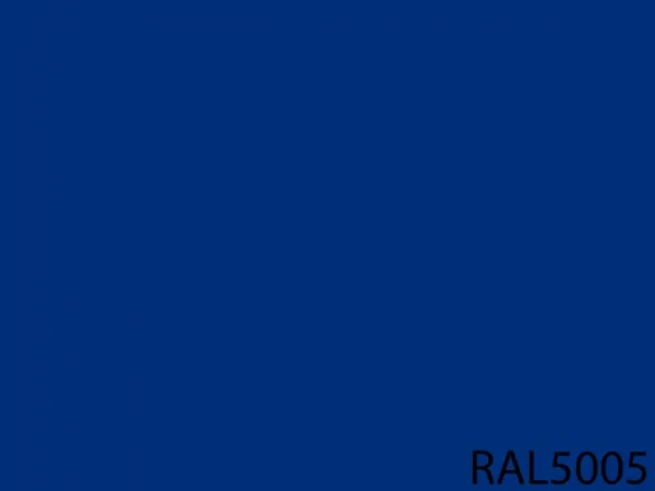 RAL 5005