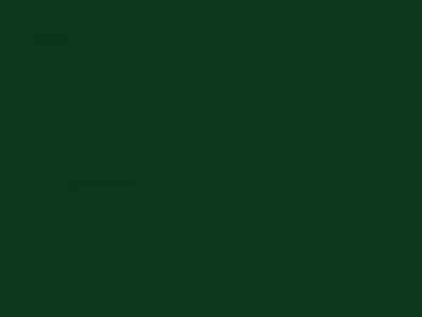 RAL 6005 verde
